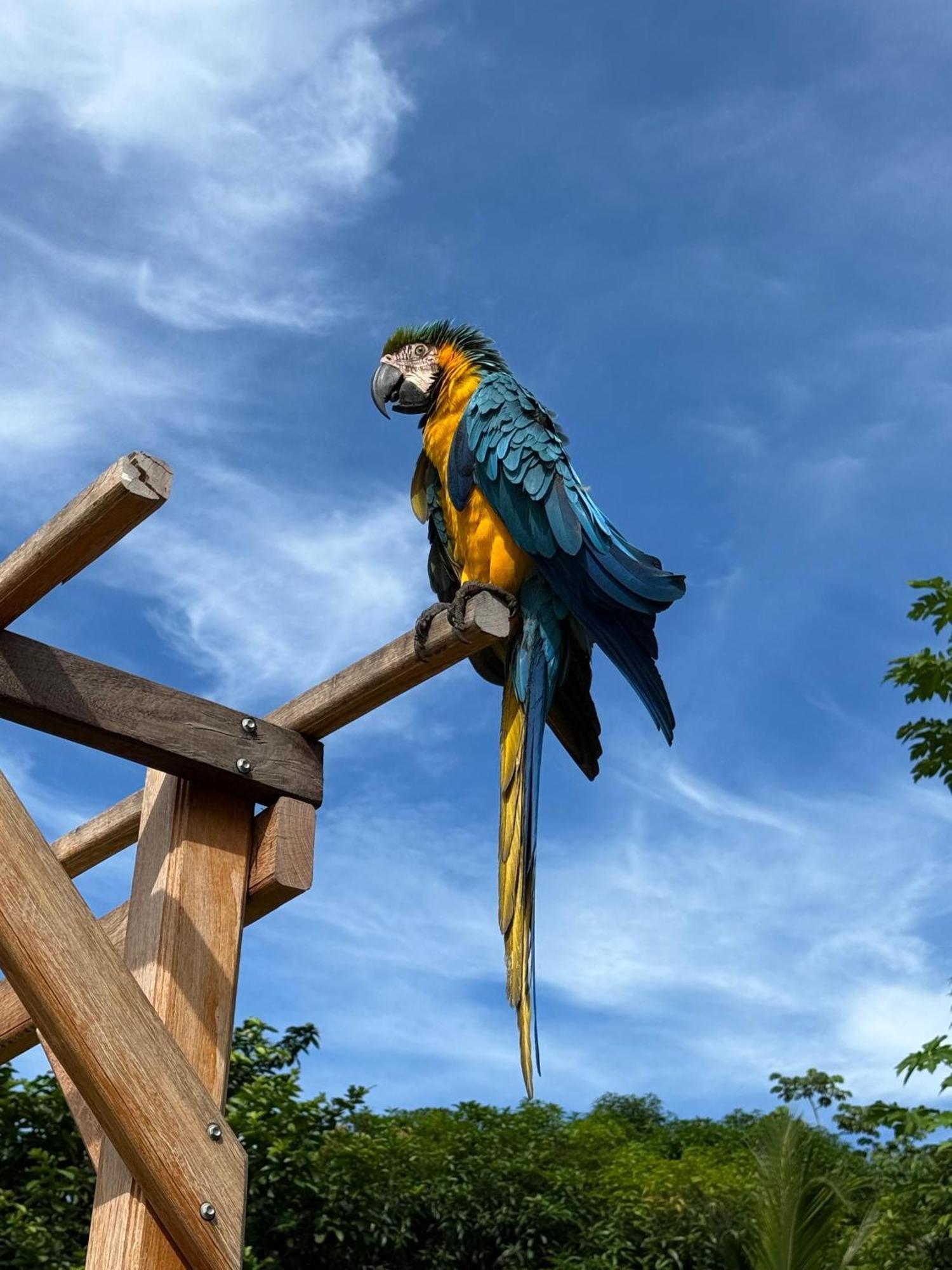 Apartamento Privada Kethalya Tayrona *